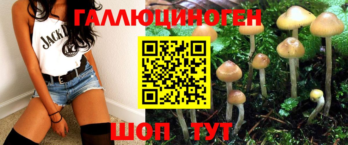 Галлюциногенные грибы GOLDEN TEACHER  Псилоцибиновые грибы MAGIC MUSHROOMS  Чехов  Вход с VPN 