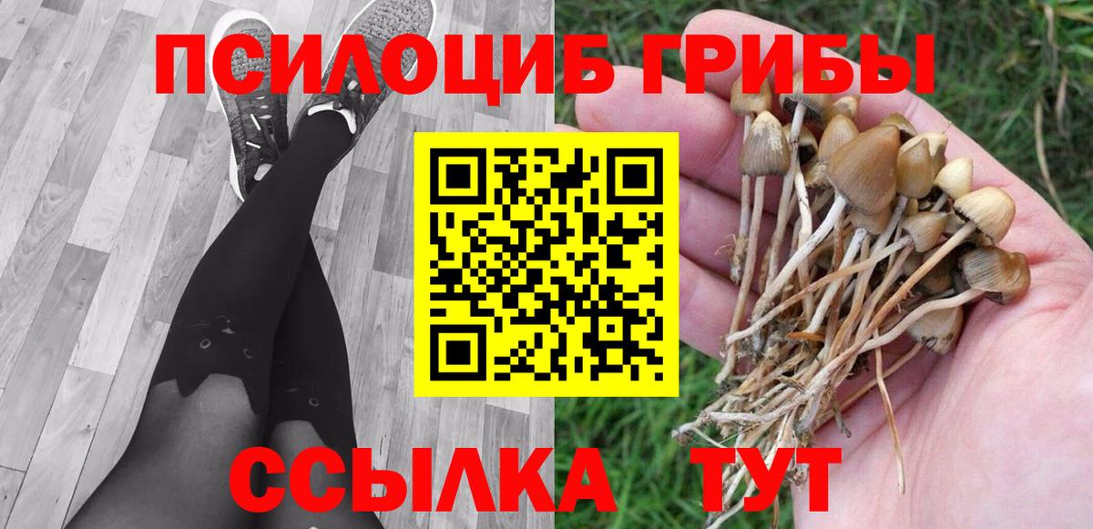 Галлюциногенные грибы GOLDEN TEACHER Чехов